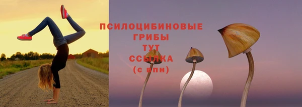 амфетамин Абинск