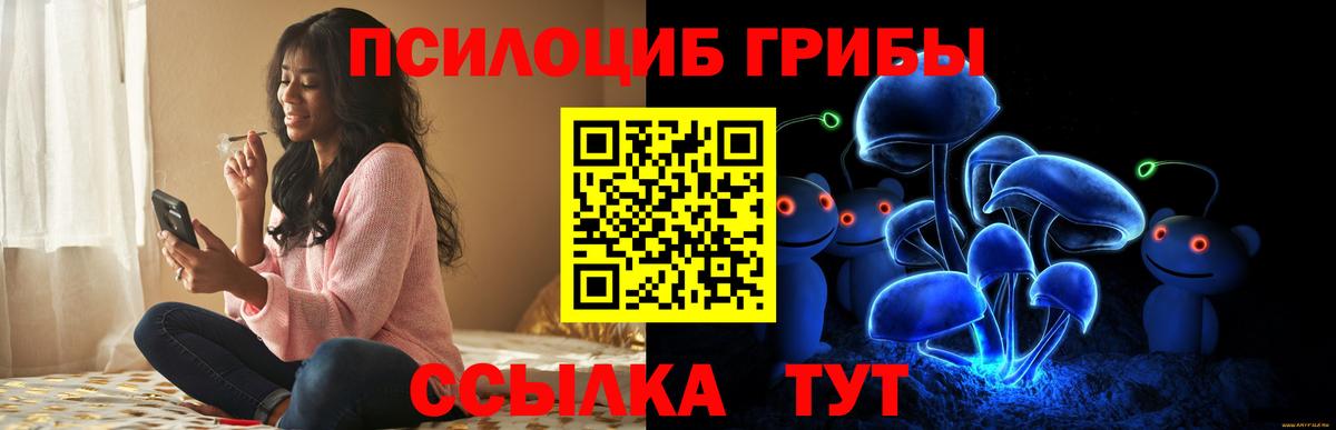 Псилоцибиновые грибы мухоморы  где можно купить наркотик  Грозный  Вход с VPN  Псилоцибиновые грибы ЛСД 
